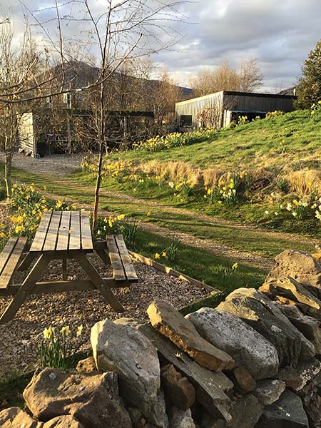 Studio Sanctuary Studio Sanctuary